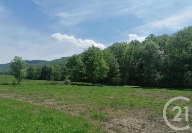 terrain à vendre - 2974.0 m2 - BENAIX - 09 - MIDI-PYRENEES - Century 21 Immo Sud