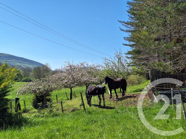 maison à vendre - 4 pièces - 131.0 m2 - LA BASTIDE SUR L HERS - 09 - MIDI-PYRENEES - Century 21 Immo Sud