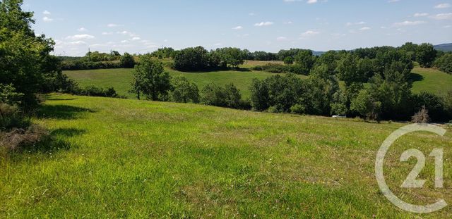 terrain à vendre - 4800.0 m2 - MIREPOIX - 09 - MIDI-PYRENEES - Century 21 Immo Sud