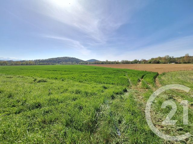 maison à vendre - 7 pièces - 124.0 m2 - MIREPOIX - 09 - MIDI-PYRENEES - Century 21 Immo Sud