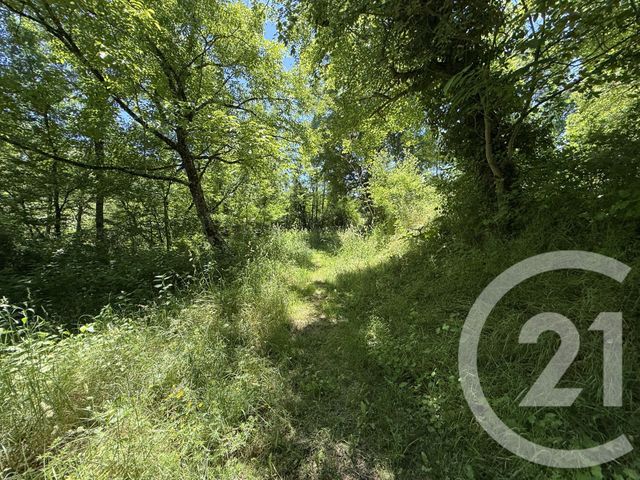 maison à vendre - 3 pièces - 120.0 m2 - LIMBRASSAC - 09 - MIDI-PYRENEES - Century 21 Immo Sud