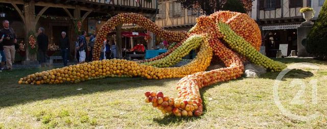 maison à vendre - 13 pièces - 394.0 m2 - MIREPOIX - 09 - MIDI-PYRENEES - Century 21 Immo Sud