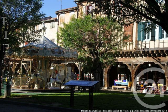 terrain à vendre - 1500.0 m2 - RIEUCROS - 09 - MIDI-PYRENEES - Century 21 Immo Sud