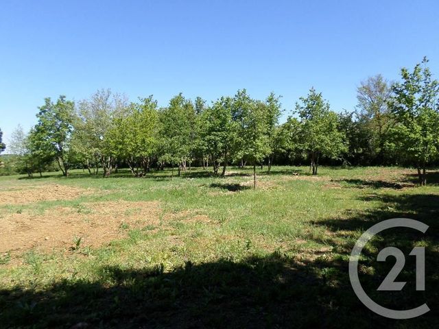 maison à vendre - 9 pièces - 290.71 m2 - LAFAGE - 11 - LANGUEDOC-ROUSSILLON - Century 21 Immo Sud