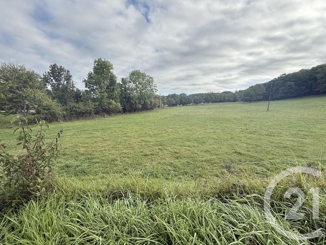 terrain à vendre - 3055.0 m2 - BELLOC - 09 - MIDI-PYRENEES - Century 21 Immo Sud