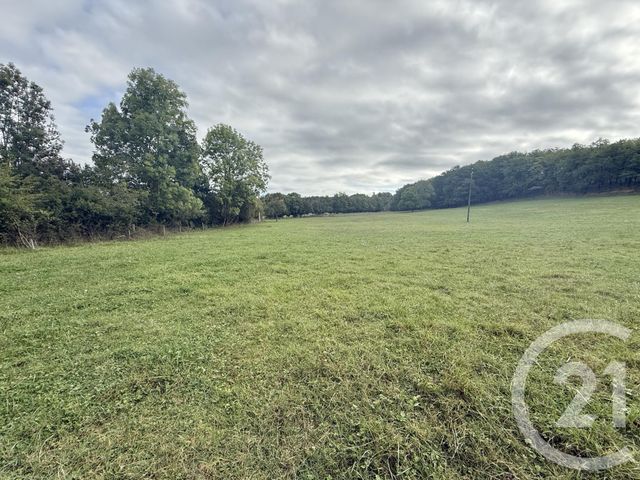 terrain à vendre - 3055.0 m2 - BELLOC - 09 - MIDI-PYRENEES - Century 21 Immo Sud