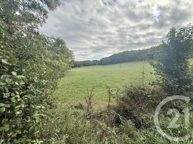 terrain à vendre - 3055.0 m2 - BELLOC - 09 - MIDI-PYRENEES - Century 21 Immo Sud
