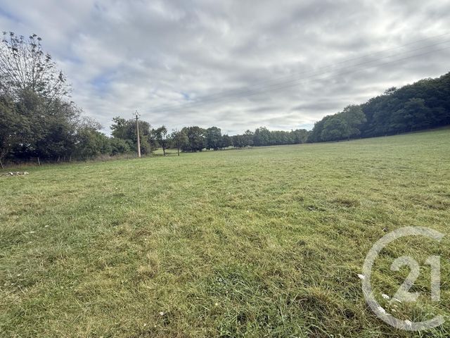 terrain à vendre - 3055.0 m2 - BELLOC - 09 - MIDI-PYRENEES - Century 21 Immo Sud