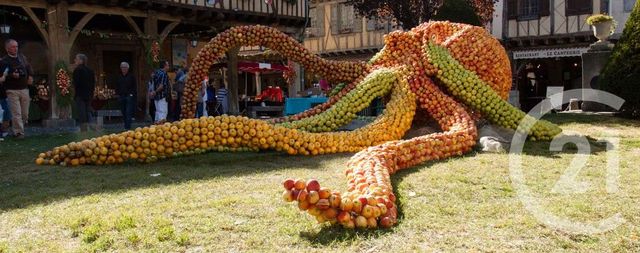 terrain à vendre - 1310.0 m2 - ROUMENGOUX - 09 - MIDI-PYRENEES - Century 21 Immo Sud