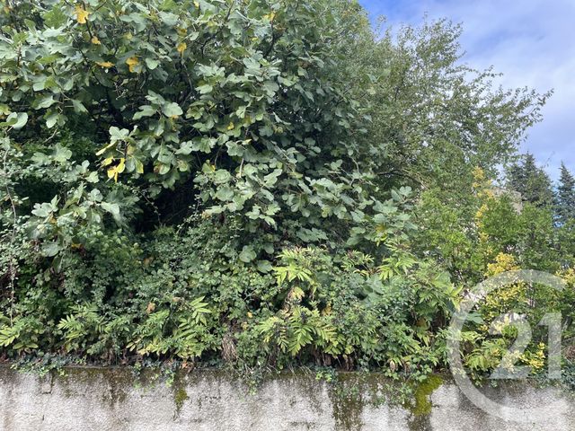 maison à vendre - 5 pièces - 224.01 m2 - RIBOUISSE - 11 - LANGUEDOC-ROUSSILLON - Century 21 Immo Sud