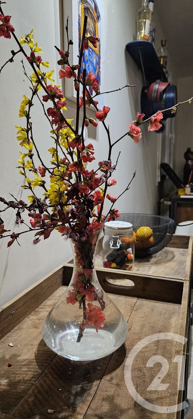 maison à louer - 6 pièces - 195.0 m2 - MIREPOIX - 09 - MIDI-PYRENEES - Century 21 Immo Sud