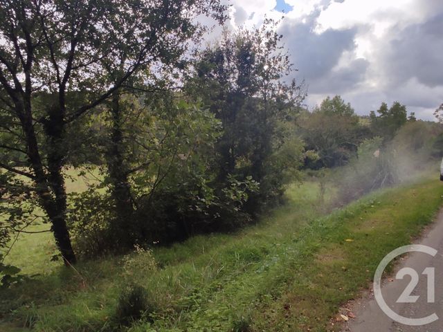 terrain à vendre - 10136.0 m2 - MANSES - 09 - MIDI-PYRENEES - Century 21 Immo Sud