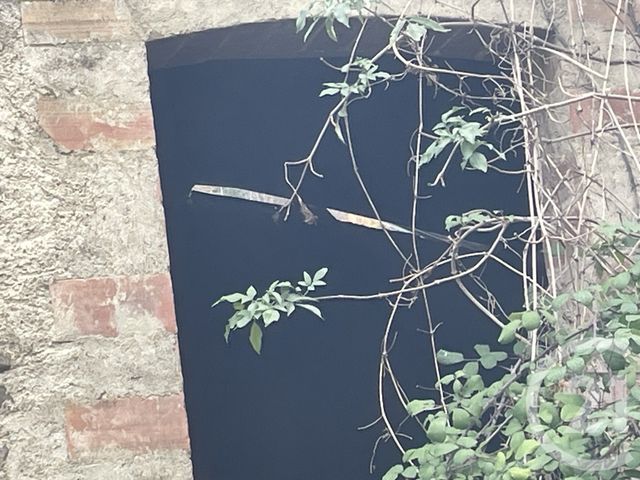 divers à vendre - 1484.0 m2 - MONTJARDIN - 11 - LANGUEDOC-ROUSSILLON - Century 21 Immo Sud