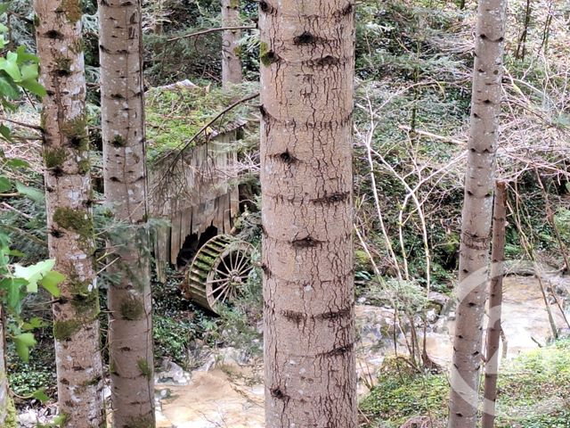 maison à vendre - 4 pièces - 200.0 m2 - BELESTA - 09 - MIDI-PYRENEES - Century 21 Immo Sud