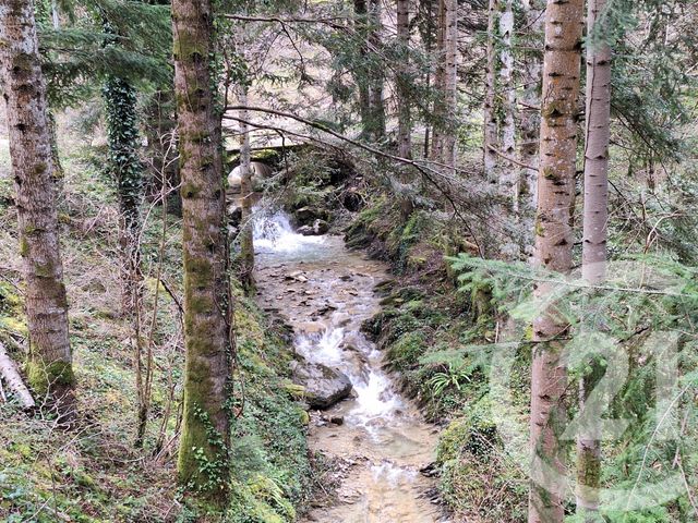 maison à vendre - 4 pièces - 200.0 m2 - BELESTA - 09 - MIDI-PYRENEES - Century 21 Immo Sud