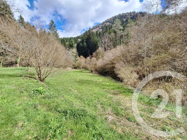 maison à vendre - 4 pièces - 200.0 m2 - BELESTA - 09 - MIDI-PYRENEES - Century 21 Immo Sud