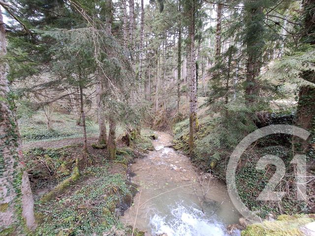 maison à vendre - 4 pièces - 200.0 m2 - BELESTA - 09 - MIDI-PYRENEES - Century 21 Immo Sud