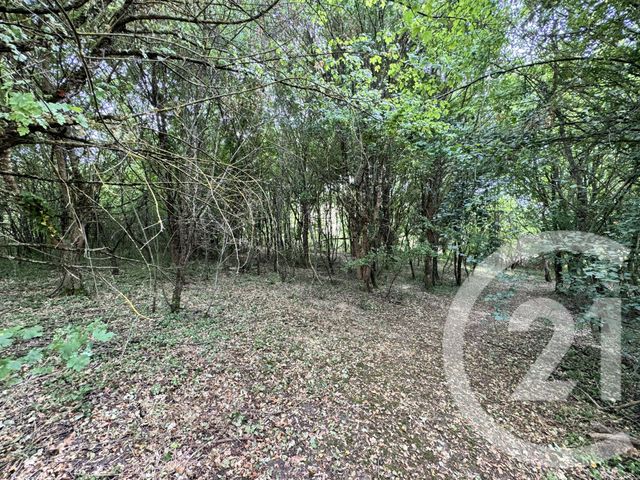 maison à vendre - 5 pièces - 132.0 m2 - COURTAULY - 11 - LANGUEDOC-ROUSSILLON - Century 21 Immo Sud