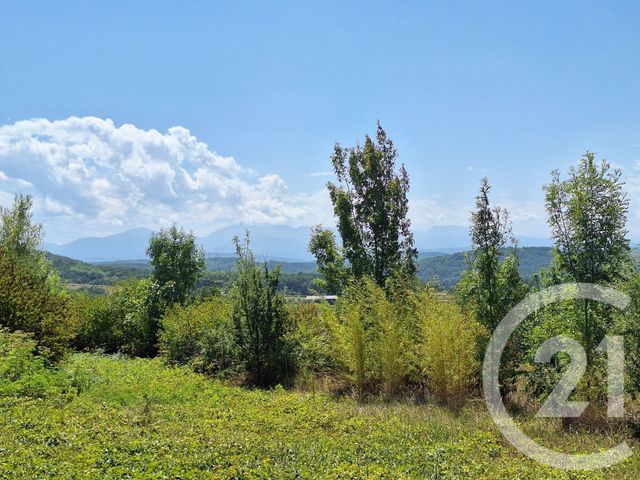 terrain à vendre - 10044.0 m2 - TREZIERS - 11 - LANGUEDOC-ROUSSILLON - Century 21 Immo Sud