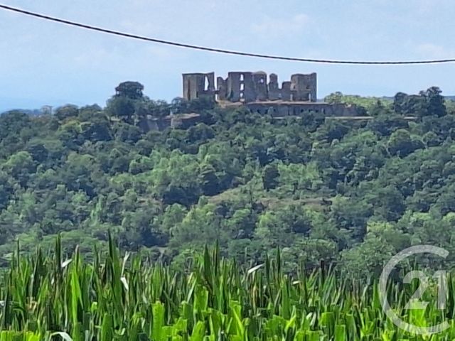 terrain à vendre - 10044.0 m2 - TREZIERS - 11 - LANGUEDOC-ROUSSILLON - Century 21 Immo Sud