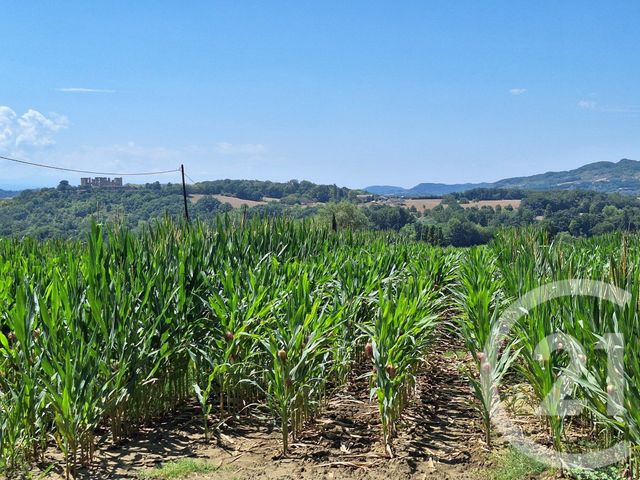 terrain à vendre - 10044.0 m2 - TREZIERS - 11 - LANGUEDOC-ROUSSILLON - Century 21 Immo Sud