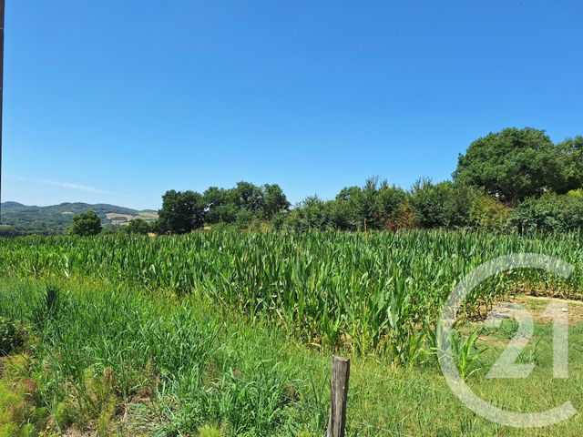 terrain à vendre - 10044.0 m2 - TREZIERS - 11 - LANGUEDOC-ROUSSILLON - Century 21 Immo Sud