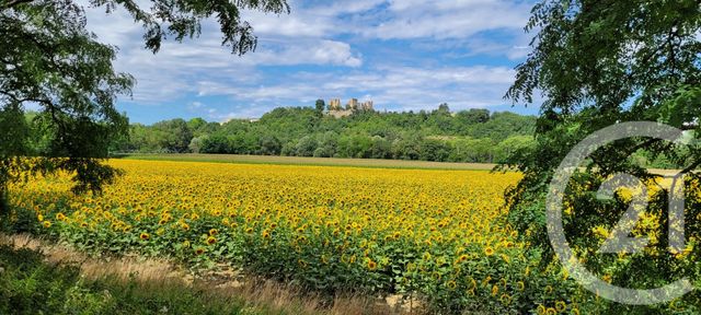 terrain à vendre - 10044.0 m2 - TREZIERS - 11 - LANGUEDOC-ROUSSILLON - Century 21 Immo Sud