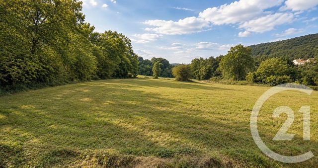 terrain à vendre - 10620.0 m2 - TABRE - 09 - MIDI-PYRENEES - Century 21 Immo Sud