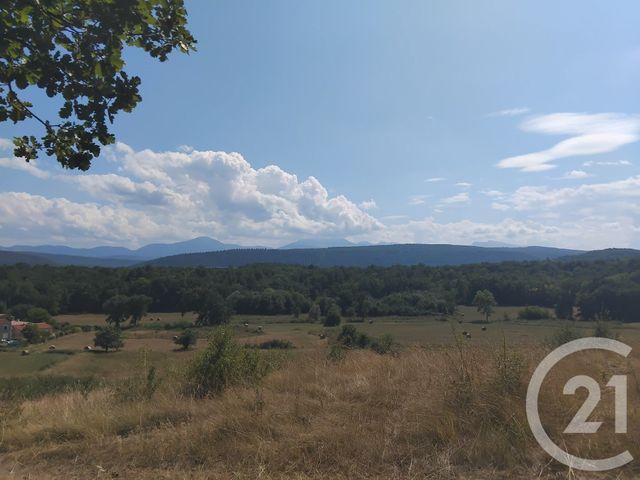 terrain à vendre - 10620.0 m2 - TABRE - 09 - MIDI-PYRENEES - Century 21 Immo Sud