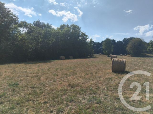 terrain à vendre - 10620.0 m2 - TABRE - 09 - MIDI-PYRENEES - Century 21 Immo Sud