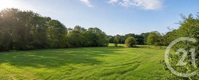 terrain - TABRE - 09