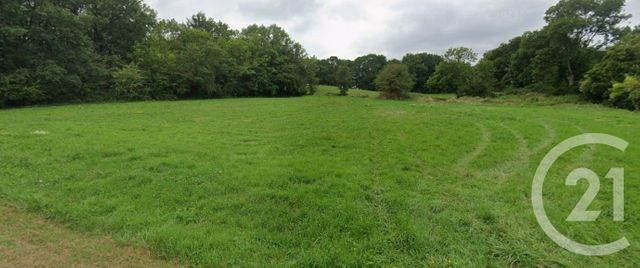 terrain à vendre - 10620.0 m2 - TABRE - 09 - MIDI-PYRENEES - Century 21 Immo Sud