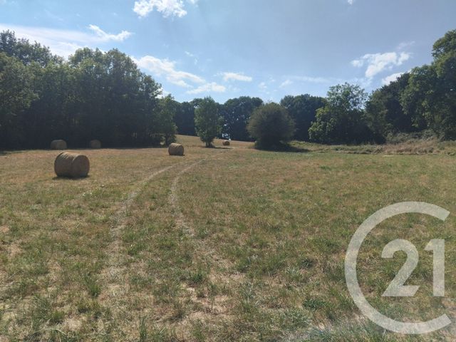 terrain à vendre - 10620.0 m2 - TABRE - 09 - MIDI-PYRENEES - Century 21 Immo Sud