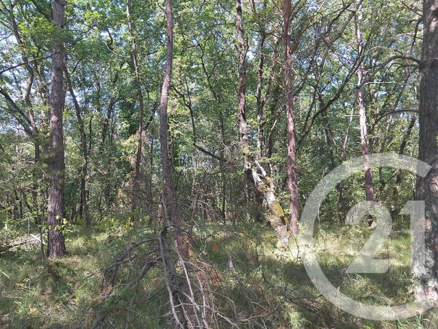 terrain à vendre - 10620.0 m2 - TABRE - 09 - MIDI-PYRENEES - Century 21 Immo Sud